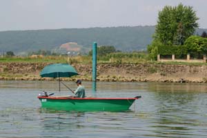 Aux Rives du Soleil Rodano-Alpi - Pont-de-Vaux visuel 8/10