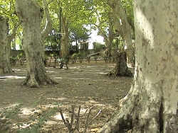 Bagatelle Provenza-Alpi-Costa Azzurra - Avignon visuel 3/4