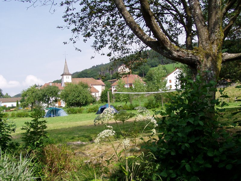 Barba Lorena - Rehaupal visuel 3/5