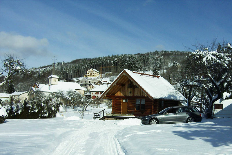 Barba Lorena - Rehaupal visuel 4/5