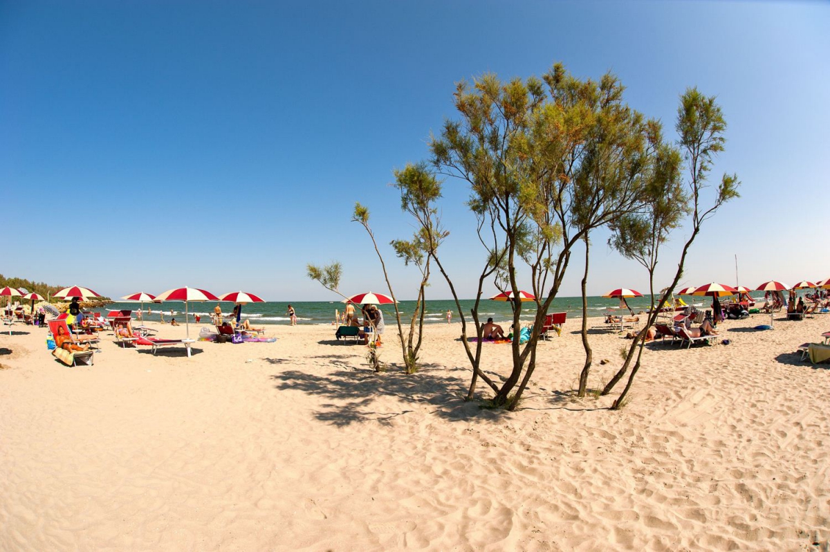 Barricata Veneto - Bonelli di Porto Tolle visuel 9/10 Barricata Veneto - Bonelli di Porto Tolle visuel 9/10