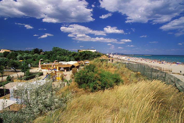 Beauregard Plage Linguadoca-Rossiglione - Marseillan visuel 1/8