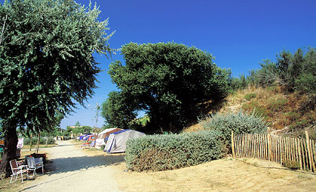 Beauregard Plage Linguadoca-Rossiglione - Marseillan visuel 4/8