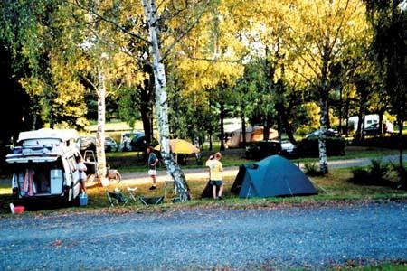 Bel Air Limosino - Ladignac-le-Long visuel 3/6