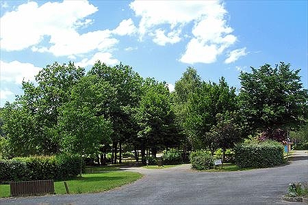 Bel Air Limosino - Ladignac-le-Long visuel 5/6