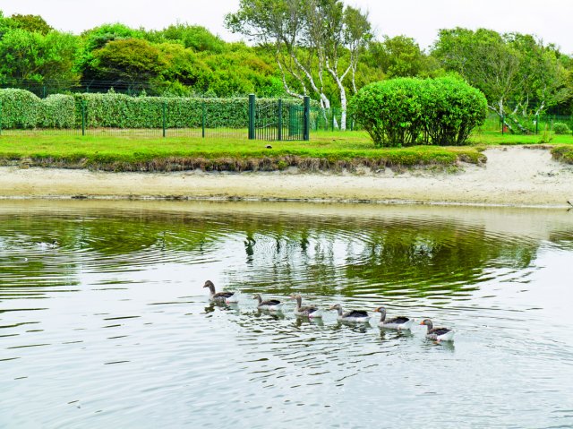 Belle Dune Nord-Passo di Calais - Berck visuel 10/11