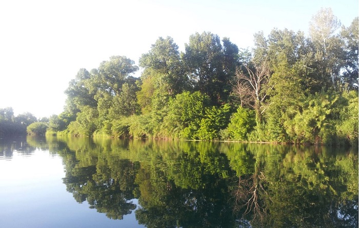 Belle-rive Linguadoca-Rossiglione - Montfrin visuel 10/10 Belle-rive Linguadoca-Rossiglione - Montfrin visuel 10/10