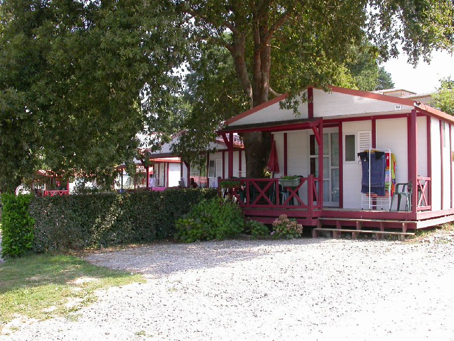 Biper Gorri Aquitania - Espelette visuel 3/4