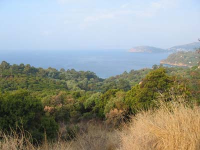 Bonporteau Provenza-Alpi-Costa Azzurra - Cavalaire-sur-Mer visuel 6/10