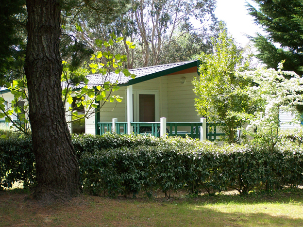 Bordénéo Bretagna - Le Palais visuel 3/11