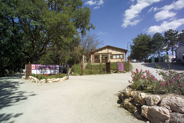 Boschetto di Piemma Toscana - San Gimignano visuel 9/10