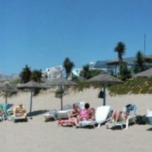 Buganvilla Andalusia - Marbella visuel 3/6