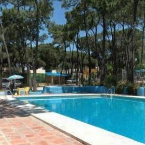 Buganvilla Andalusia - Marbella visuel 4/6