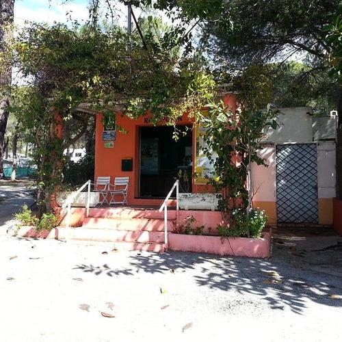 Buganvilla Andalusia - Marbella visuel 6/6