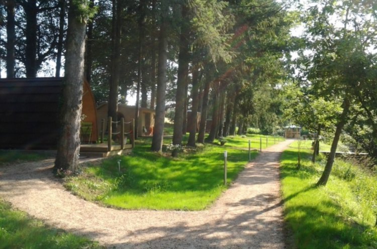 Cabanes de la Petite Sapinière Alvernia - Voussac visuel 4/7 Cabanes de la Petite Sapinière Alvernia - Voussac visuel 4/7