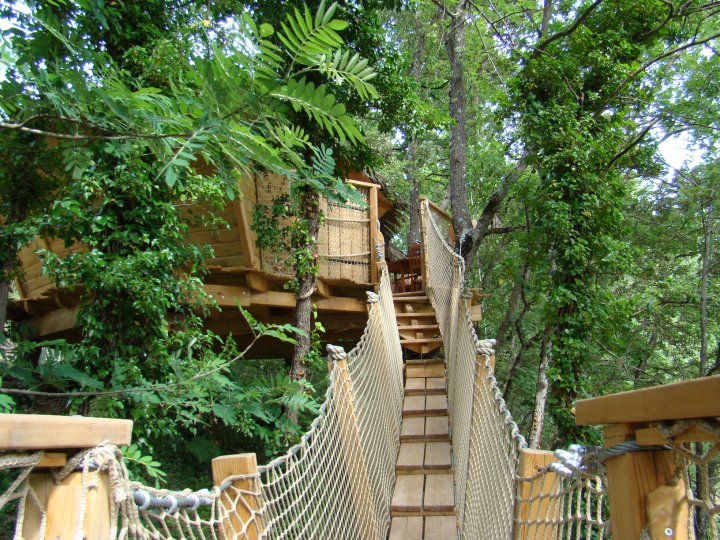 Cabânes du Varon Provenza-Alpi-Costa Azzurra - Flayosc visuel 8/11