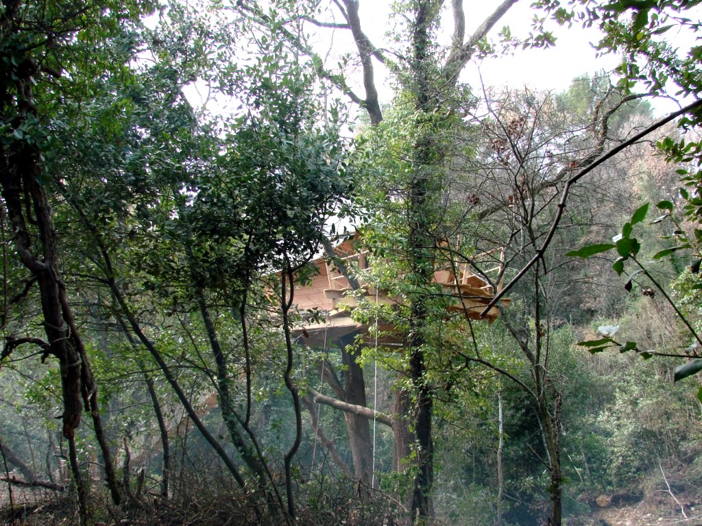 Cabânes du Varon Provenza-Alpi-Costa Azzurra - Flayosc visuel 11/11