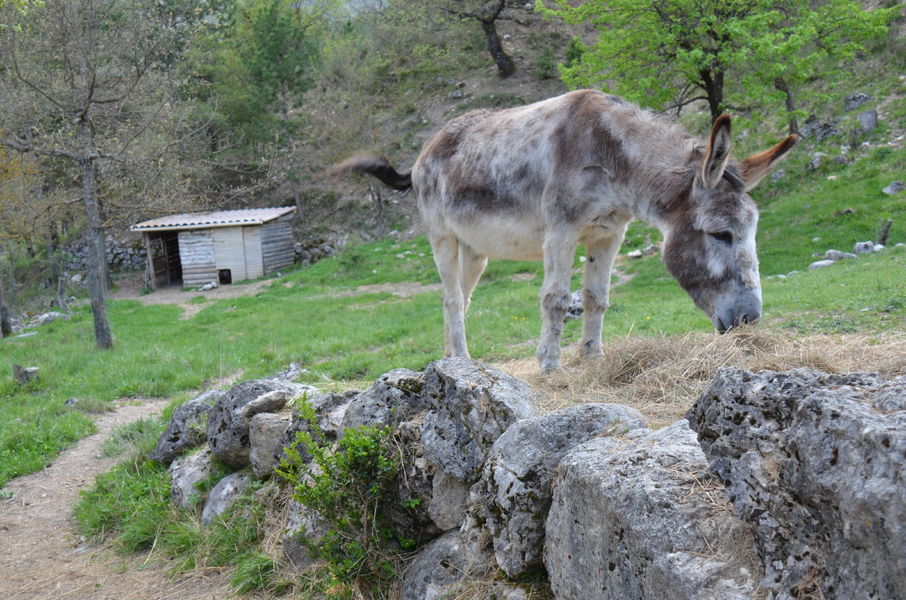 Calme et Nature Provenza-Alpi-Costa Azzurra - Castellane visuel 6/6