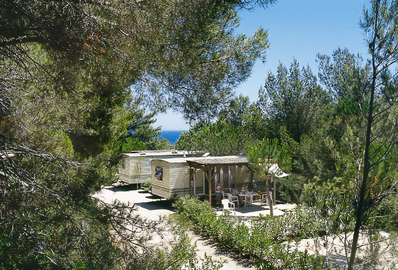 Camp du Domaine Provenza-Alpi-Costa Azzurra - Bormes-les-Mimosas visuel 2/8