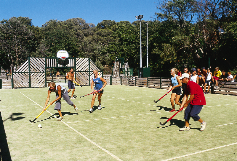 Camp du Domaine Provenza-Alpi-Costa Azzurra - Bormes-les-Mimosas visuel 6/8