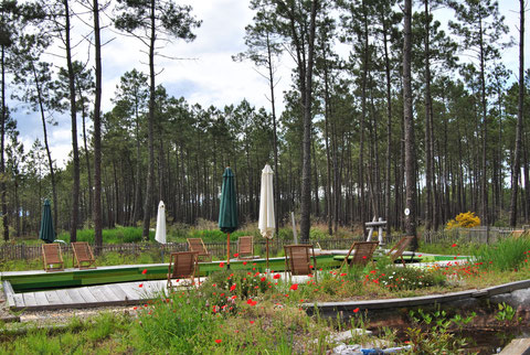 Cap Cabane Aquitania - Captieux visuel 3/9