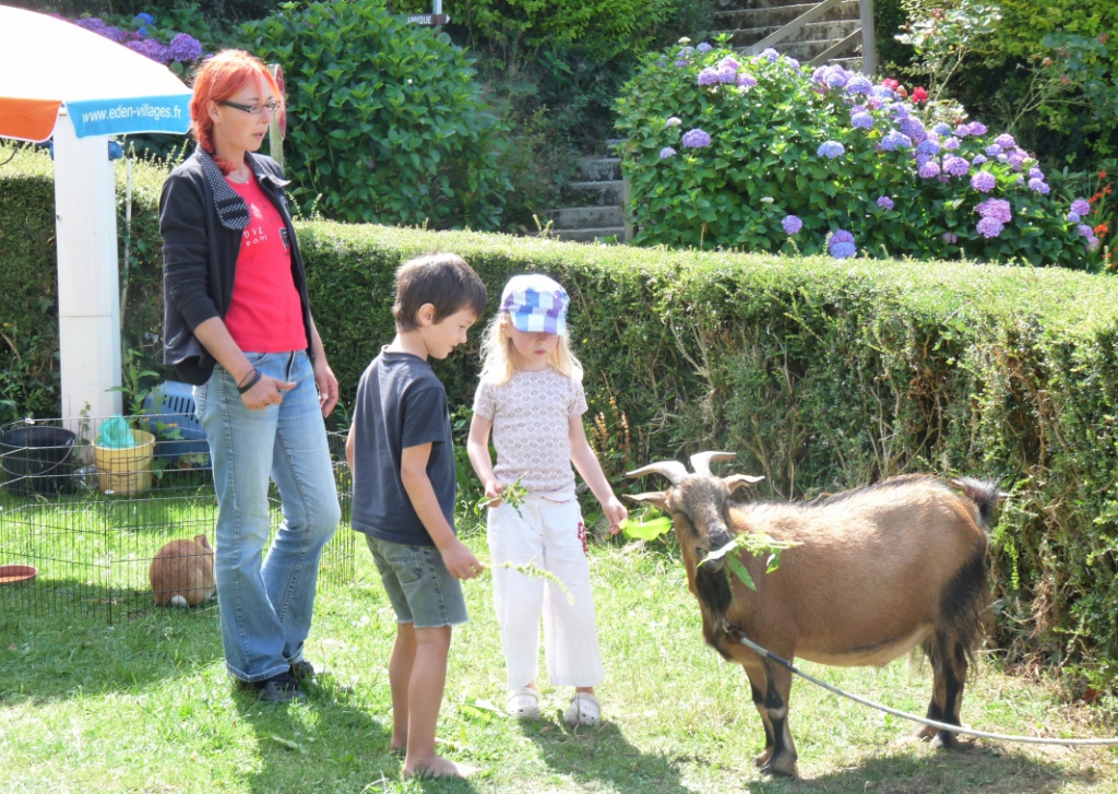 Cap de Bréhat Bretagna - Plouézec visuel 9/11