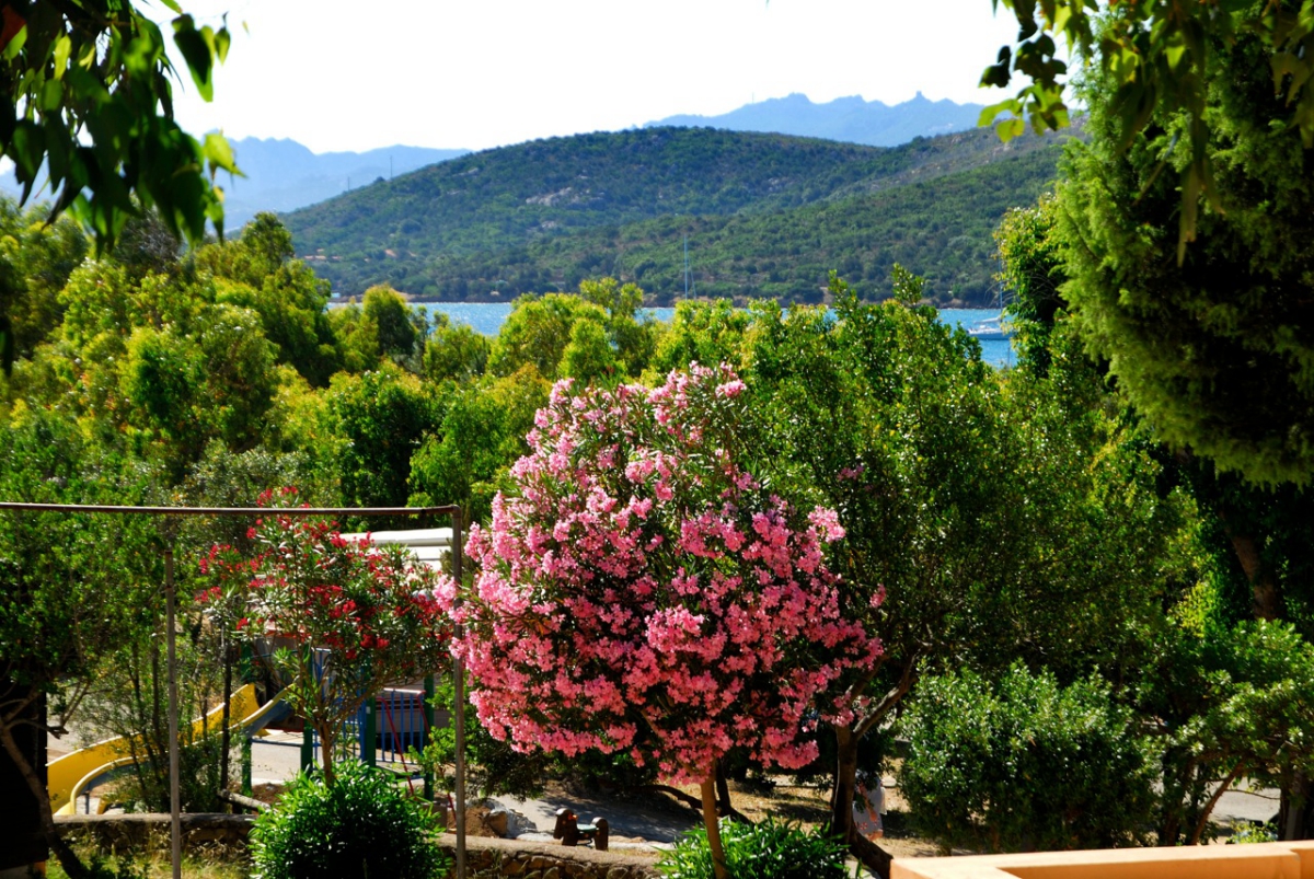 Capo d'Orso Sardegna - Palau visuel 3/10 Capo d'Orso Sardegna - Palau visuel 3/10