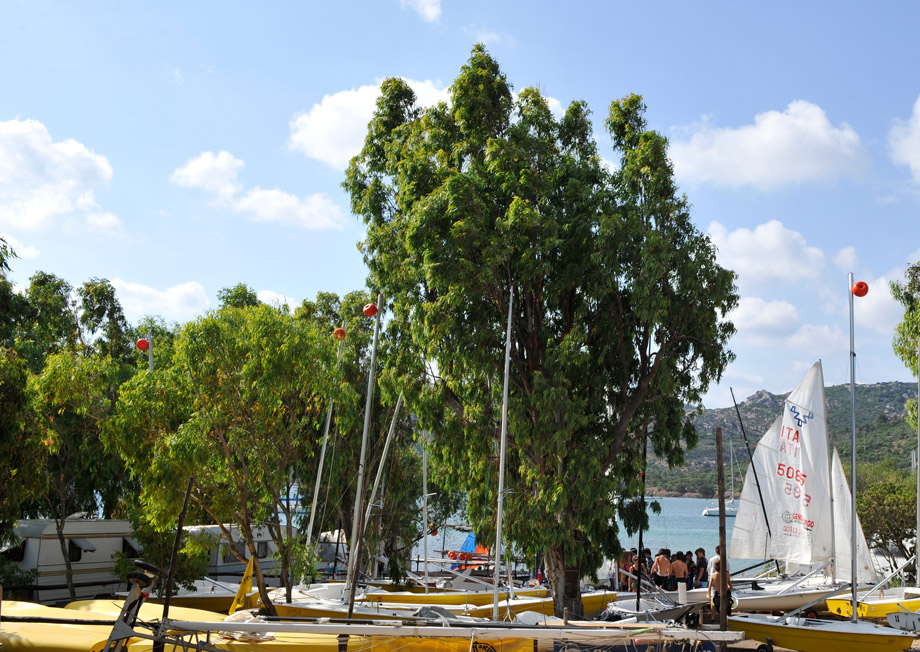 Capo d'Orso Sardegna - Palau visuel 9/10 Capo d'Orso Sardegna - Palau visuel 9/10