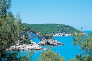 Capo Vieste Puglia - Vieste visuel 1/10 Capo Vieste Puglia - Vieste visuel 1/10