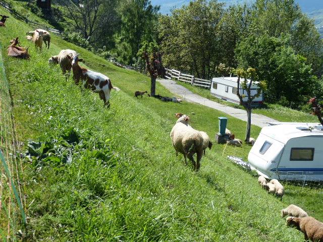 Caravaneige de Montchavin Rodano-Alpi - Montchavin les Coches visuel 5/7