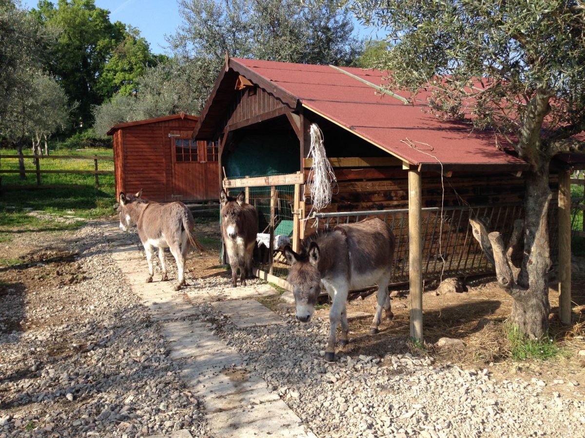 Centro Vacanze San Marino San Marino - San Marino visuel 7/10 Centro Vacanze San Marino San Marino - San Marino visuel 7/10