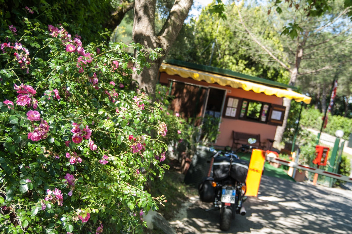 Cerquestra Umbria - Monte del Lago visuel 6/9