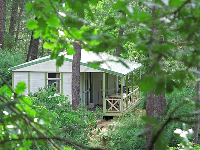 Cevennes Provence Linguadoca-Rossiglione - Anduze visuel 3/5