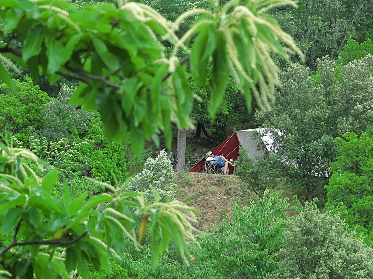 Cevennes Provence Linguadoca-Rossiglione - Anduze visuel 4/5