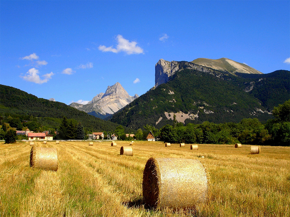Champ la Chèvre Rodano-Alpi - Lus-la-Croix-Haute visuel 11/11 Champ la Chèvre Rodano-Alpi - Lus-la-Croix-Haute visuel 11/11
