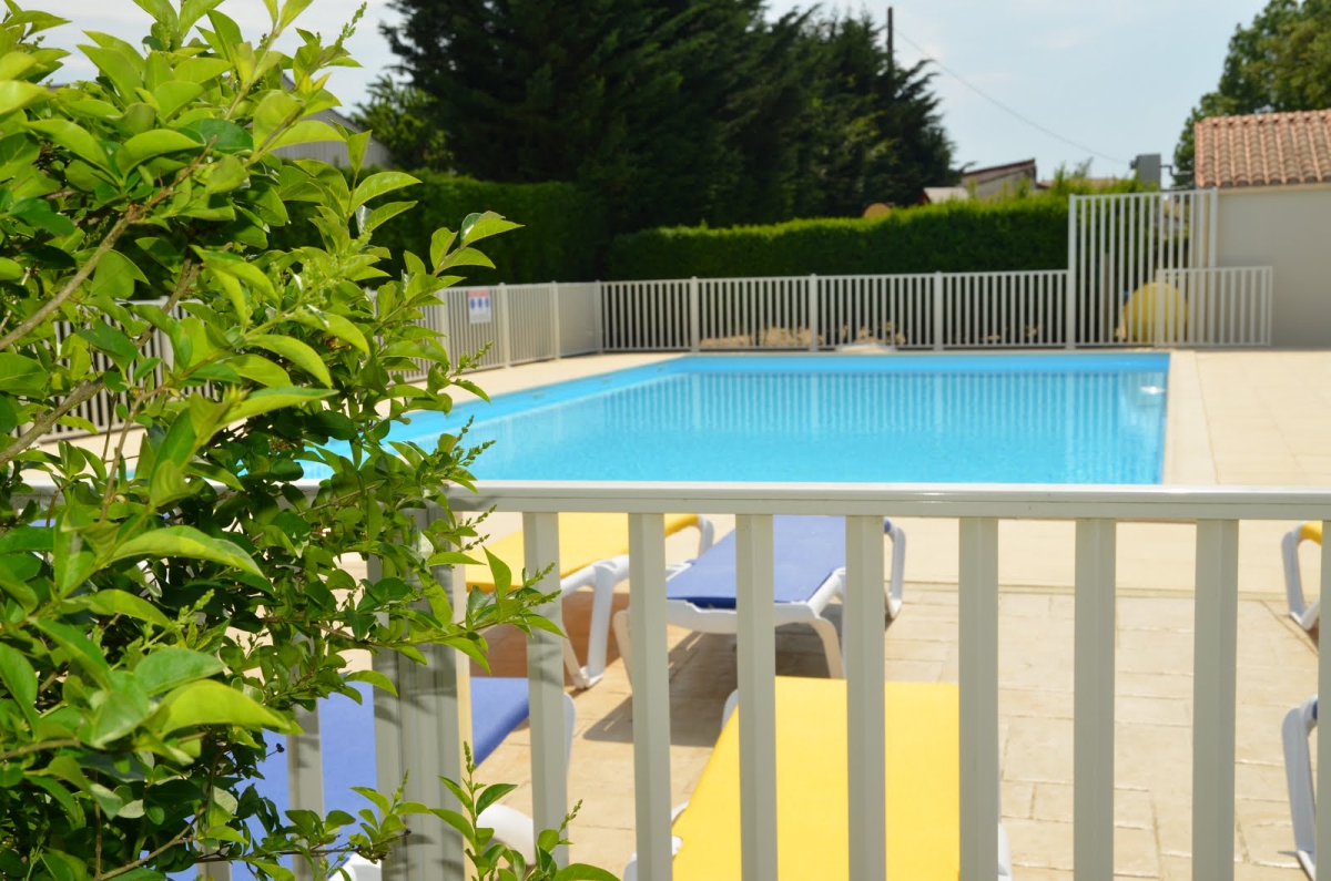 Chant des Oiseaux Poitou-Charentes - Royan visuel 1/4 Chant des Oiseaux Poitou-Charentes - Royan visuel 1/4