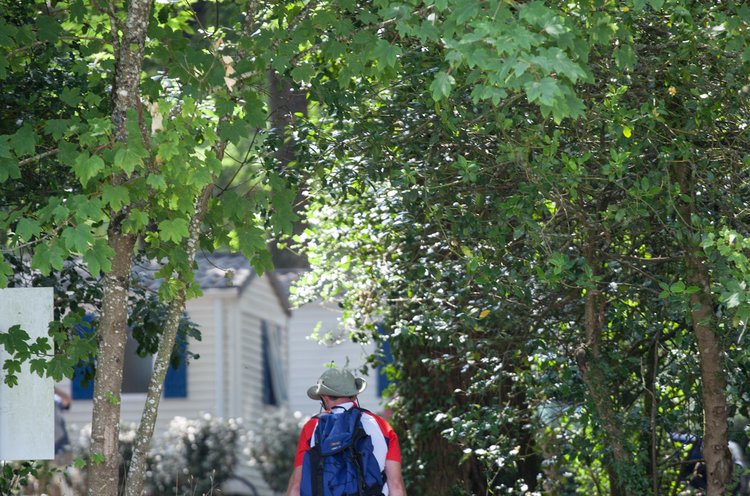 Château de la Forêt Paesi della Loira - Saint-Julien-des-Landes visuel 9/10 Château de la Forêt Paesi della Loira - Saint-Julien-des-Landes visuel 9/10