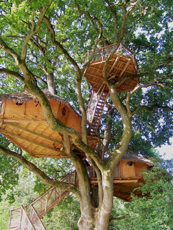 Château de la Grande Noë Bassa Normandia - Moulicent visuel 4/9