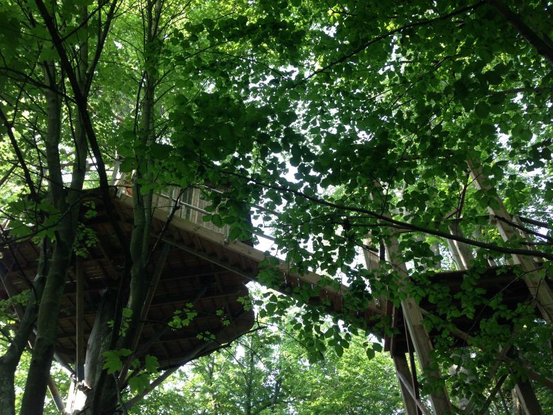 Chateau des Tilleuls Piccardia - Port-le-Grand visuel 3/7