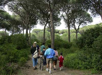 Cieloverde Toscana - Marina di Grosseto visuel 4/11