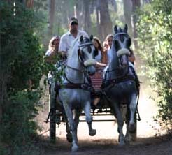 Cieloverde Toscana - Marina di Grosseto visuel 10/11