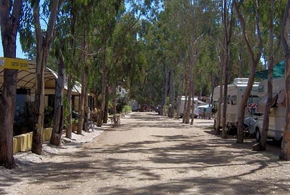 Cigno Bianco Sardegna - Tortolì visuel 4/7