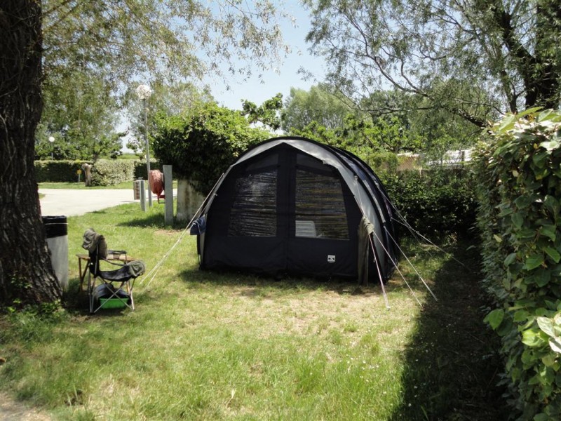 City Provenza-Alpi-Costa Azzurra - Arles visuel 6/6