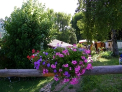 Clair Martin Rodano-Alpi - Allevard visuel 3/10