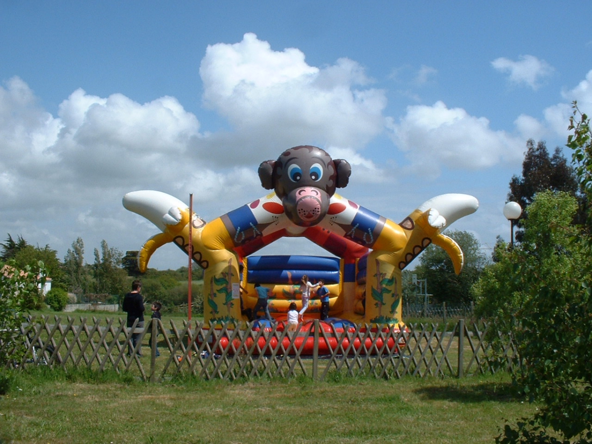 Clos Mer et Nature Paesi della Loira - Saint-Michel-Chef-Chef visuel 2/8