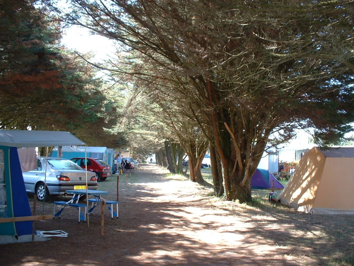 Clos Mer et Nature Paesi della Loira - Saint-Michel-Chef-Chef visuel 6/8