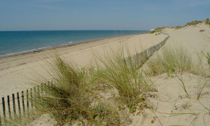 Club plein air Vacanciel de Saint Hilaire de Riez Paesi della Loira - Saint-Hilaire-de-Riez visuel 4/7