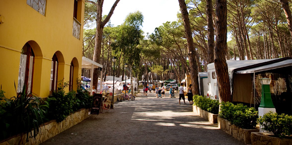 Costa Brava Costa Brava - Sant Antoni de Calonge visuel 10/11