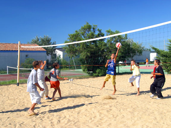 Crin Blanc Provenza-Alpi-Costa Azzurra - Albaron sur Arles visuel 5/7
