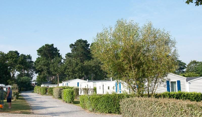 d'Arvor Bretagna - Ambon visuel 7/10